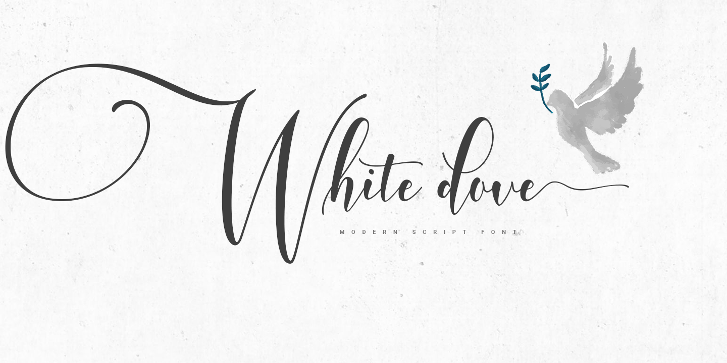 White Dove Script